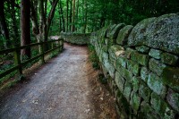 Hiking Along Country Road