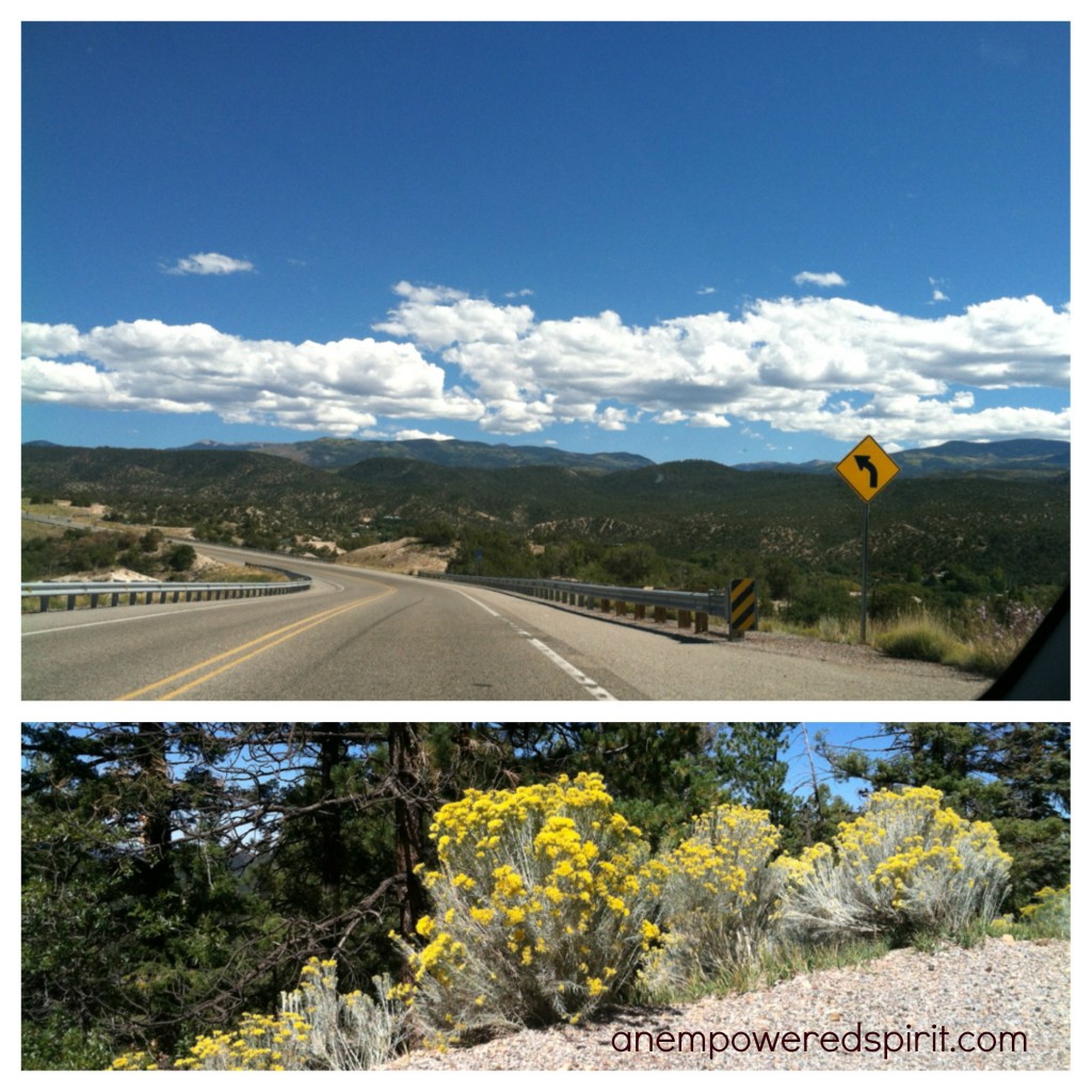 Santa Fe Landscape