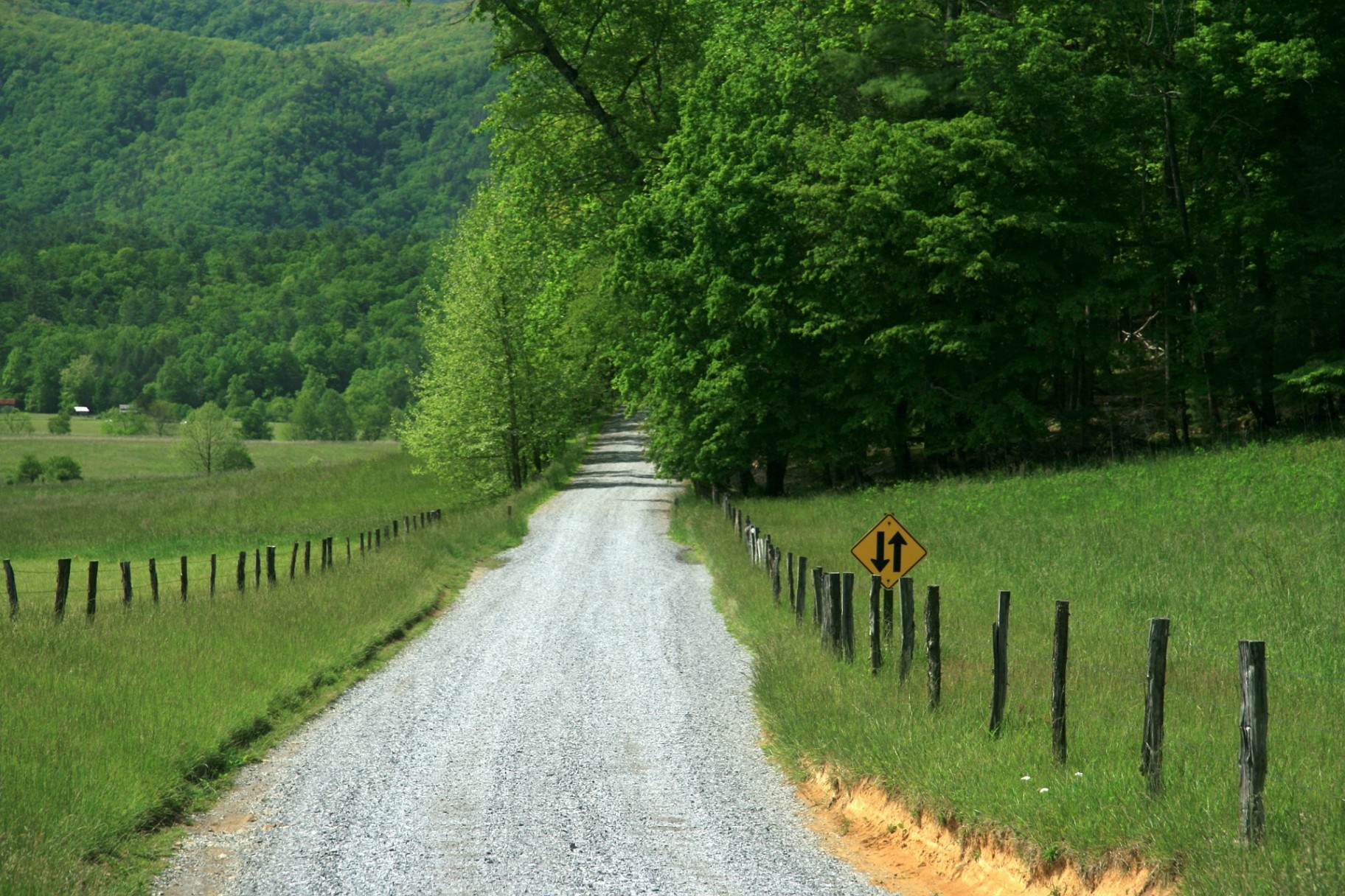 The Open Road