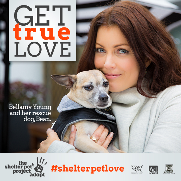 Help Shelter Pets By Joining Actress Bellamy Young And The Shelter Pet